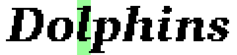 The word "Dolphins" is a pixelly italic font